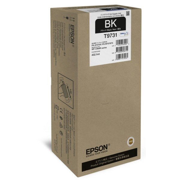 ORIGINAL Epson C13T973100 / T9731 - Cartouche d'encre noire