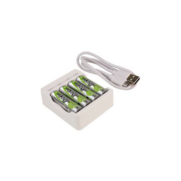ANSMANN Chargeur de piles Basic IV, 4x piles AA 1.300 mAh