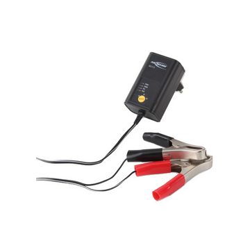 ANSMANN Chargeur pour batterie de voiture, 2 / 6 et 12 Volt