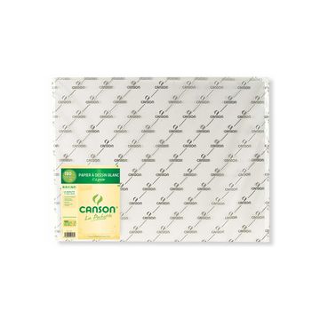 CANSON Papier de dessin "C" à Grain, 224 g/m2, 500 x 650 mm x25
