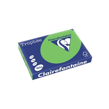 Clairefontaine Papier universel Trophée A3, vert nature