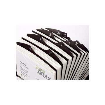 DURABLE Fichier pour cartes de visite VISIFIX, noir