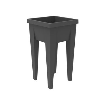 EDA Mini-jardinière "VEG&Table" Aromatique, anthracite