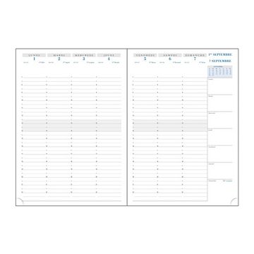 EXACOMPTA Agenda SAD 29 VERONE, 2026/2027, 16 mois, assorti x3