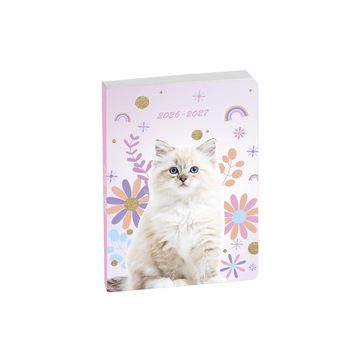 EXACOMPTA Agenda scolaire FORUM, 2026/2027, Chat blanc