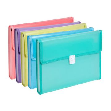 EXACOMPTA Trieur valisette Chromaline, 13 compartiments x5