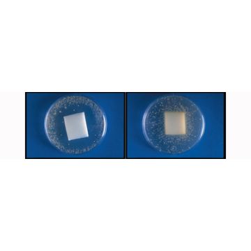 Fellowes Repose-pieds Office Suites Microban, réglable