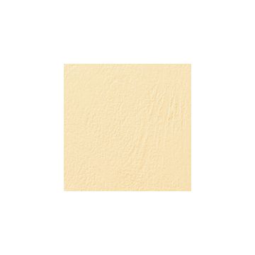 GBC Couverture de reliure grain cuir, A4, 250 g/m2, ivoire