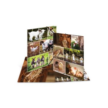 HERMA Chemise à élastiques "Animaux de ferme", carton, A3