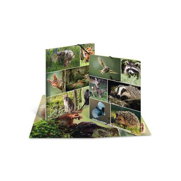 HERMA Chemise à élastiques "Animaux de la forêt", carton, A4