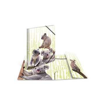 HERMA Chemise à élastiques Animaux exotiques, A4, koalas