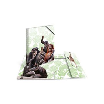 HERMA Chemise à élastiques Animaux exotiques, A4, singes