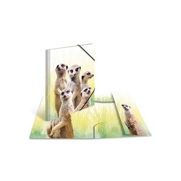 HERMA Chemise à élastiques Animaux exotiques, A4, suricates