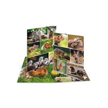 HERMA Chemise à élastiques "Rongeurs", carton, A3