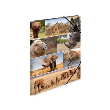 HERMA Chemise à élastiques "animaux d'Afrique", carton, A3