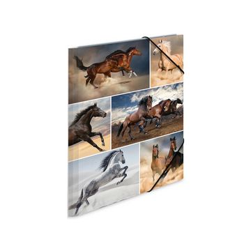 HERMA Chemise à élastiques "chevaux", carton, A3