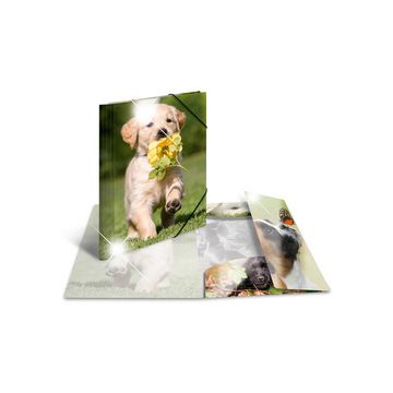 HERMA Chemise à élastiques "chiens", PP Glossy, A4