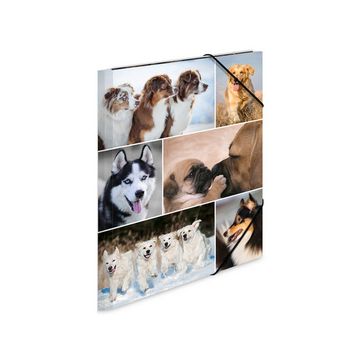 HERMA Chemise à élastiques "chiens", carton, A3