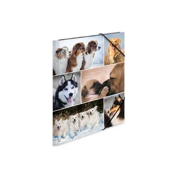 HERMA Chemise à élastiques "chiens", en carton,