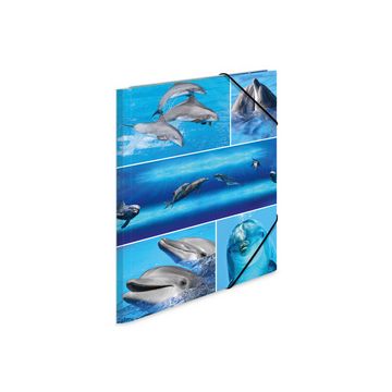 HERMA Chemise à élastiques "delphine", en carton,