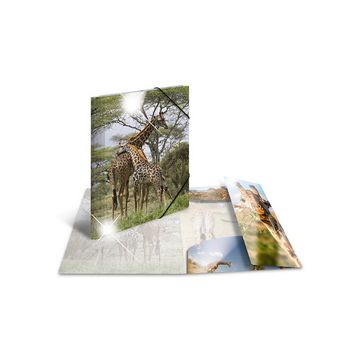 HERMA Chemise à élastiques "girafe", PP Glossy, A4