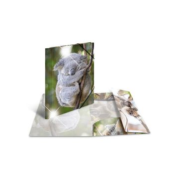 HERMA Chemise à élastiques "koala", PP Glossy, A4