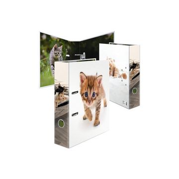 HERMA Classeur à motif "Animaux préférés" Chat, A4