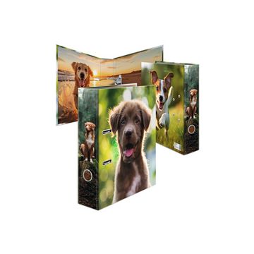 HERMA Classeur à motif "Animaux préférés" Chien, A4