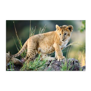 HERMA Sous-main "Animaux d'Afrique", (L)550 x (H)350 mm
