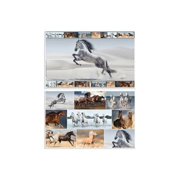 HERMA Sous-main "Chevaux", (L)550 x (H)350 mm