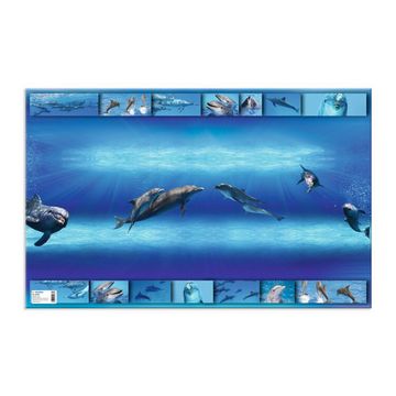 HERMA Sous-main "Dauphins", (L)550 x (H)350 mm