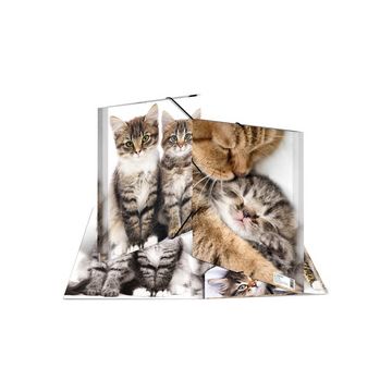 HERMA chemise élastique "chats", en PP, A3