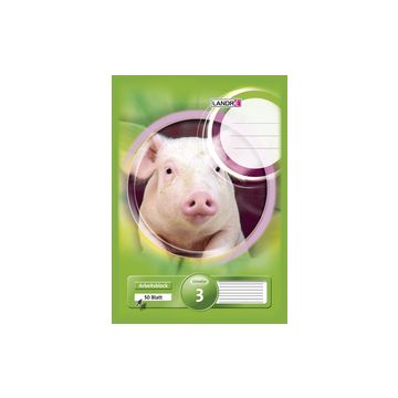 LANDRÉ Bloc scolaire "pro terra", format A4, linéature 1