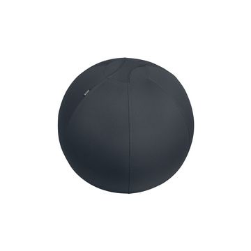 LEITZ Ballon d'assise Ergo Active, diamètre: 650 mm, gris
