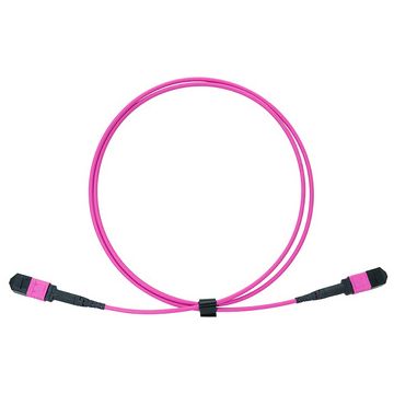 LogiLink Câble patch MPO, 12 fibres, Multimode, OM4, 2 m