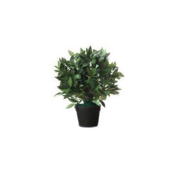 PAPERFLOW Plante artificielle "Laurier", hauteur : 500 mm