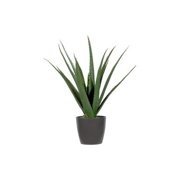 PAPERFLOW Plante artificielle "aloe vera", hauteur: 450 mm