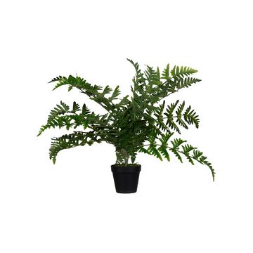 PAPERFLOW Plante artificielle "fougère", hauteur: 550 mm