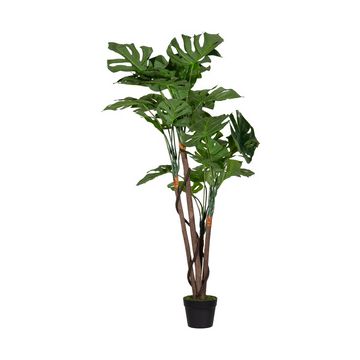 PAPERFLOW Plante artificielle "monstera", hauteur: 1.300 mm