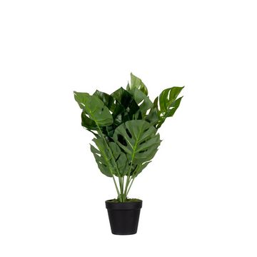 PAPERFLOW Plante artificielle "monstera", hauteur: 450 mm