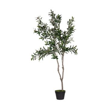 PAPERFLOW Plante artificielle "olivier", hauteur: 1.550 mm