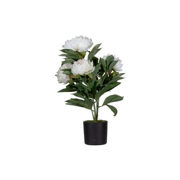 PAPERFLOW Plante artificielle "pivoine", (H)550 mm, blanc