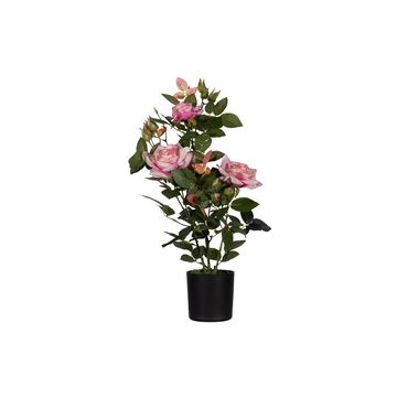 PAPERFLOW Plante artificielle "rosier", (H)540 mm, rose