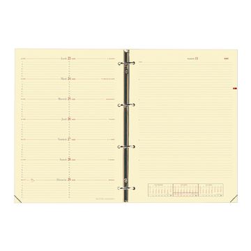 QUO VADIS Recharge "Timer 29 Notes", 2025/2026, 16 mois