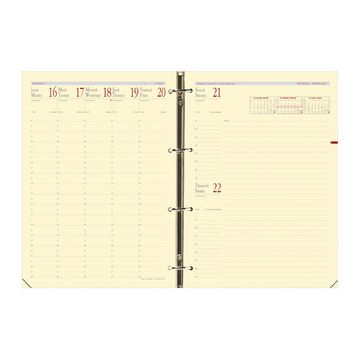 QUO VADIS Recharge "Timer 29 Prestige", 2025/2026, 16 mois