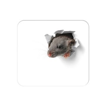 RNK Verlag Bloc tapis de souris "Souriceau", 240 x 220 mm