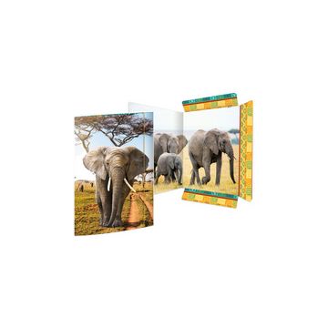 RNK Verlag Carton à dessin "Dauphin", carton, A3