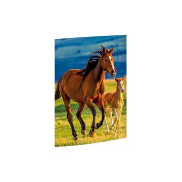 RNK Verlag Carton à dessin "Free Horses", A3