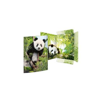 RNK Verlag Carton à dessin "Panda", A3
