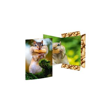 RNK Verlag Carton à dessin "Écureuil", A3